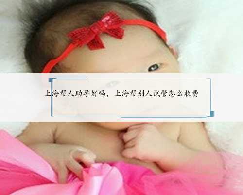 上海帮人助孕好吗，上海帮别人试管怎么收费