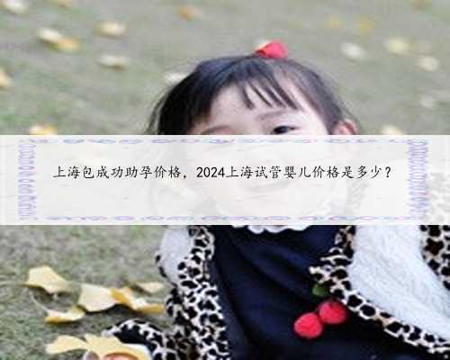上海包成功助孕价格，2024上海试管婴儿价格是多少？